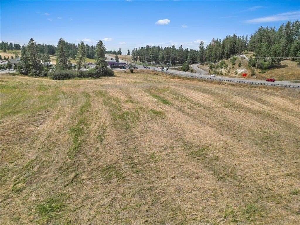 Picture 12