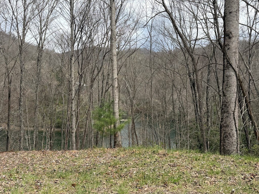 Picture 15