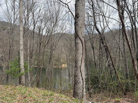 LAND - Topton, NC