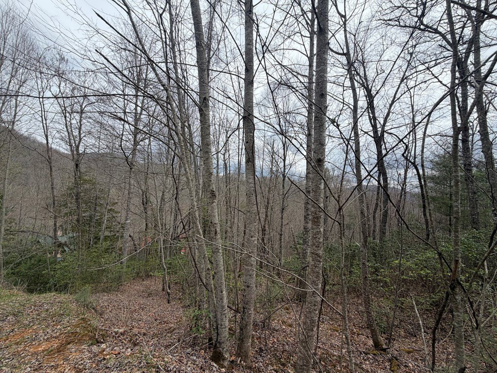 Picture 14