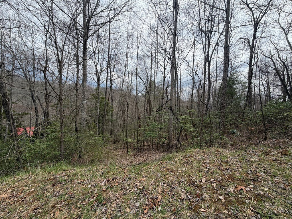 Picture 12