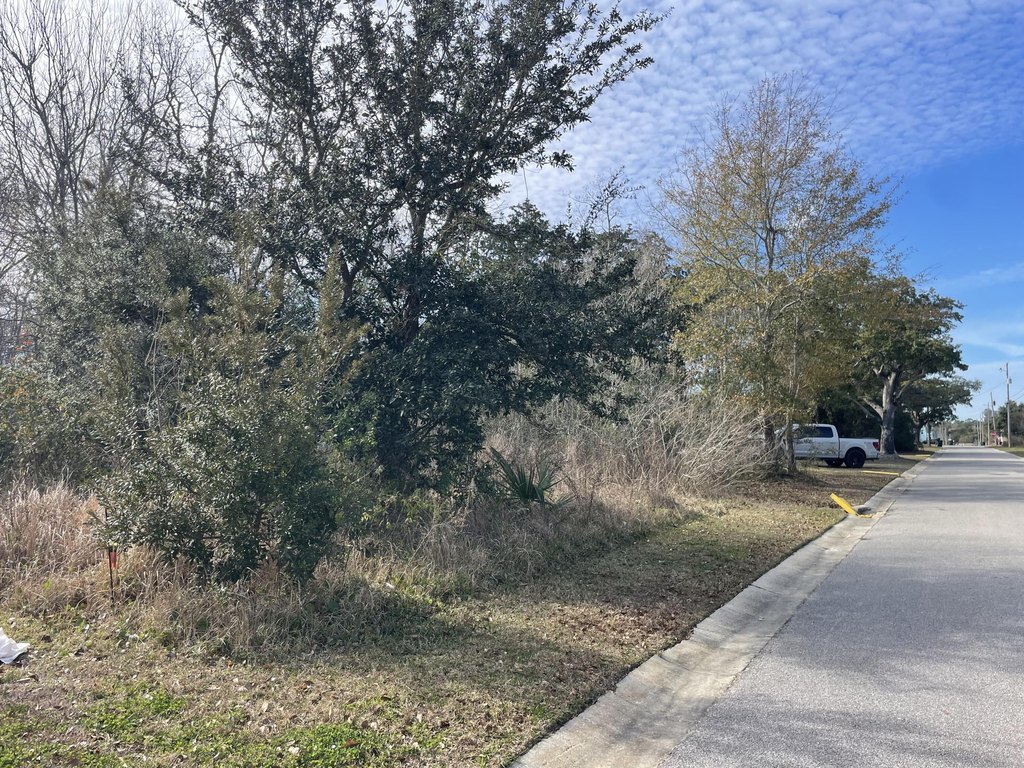 Picture 2