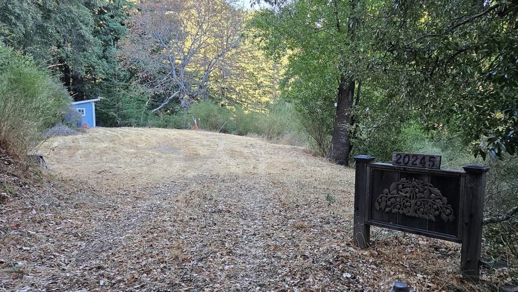 Picture 11