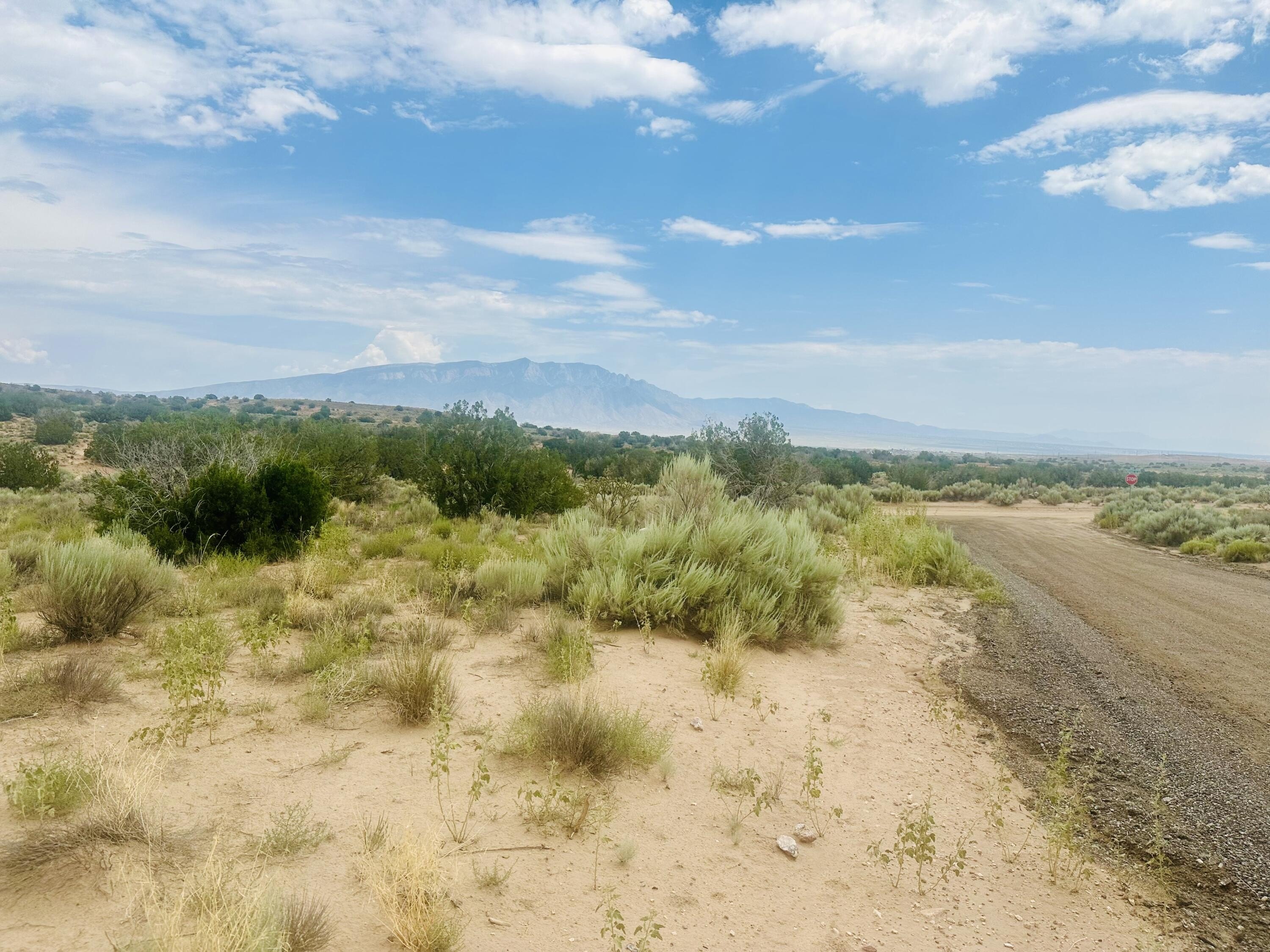 Rio Rancho Oversized Lot