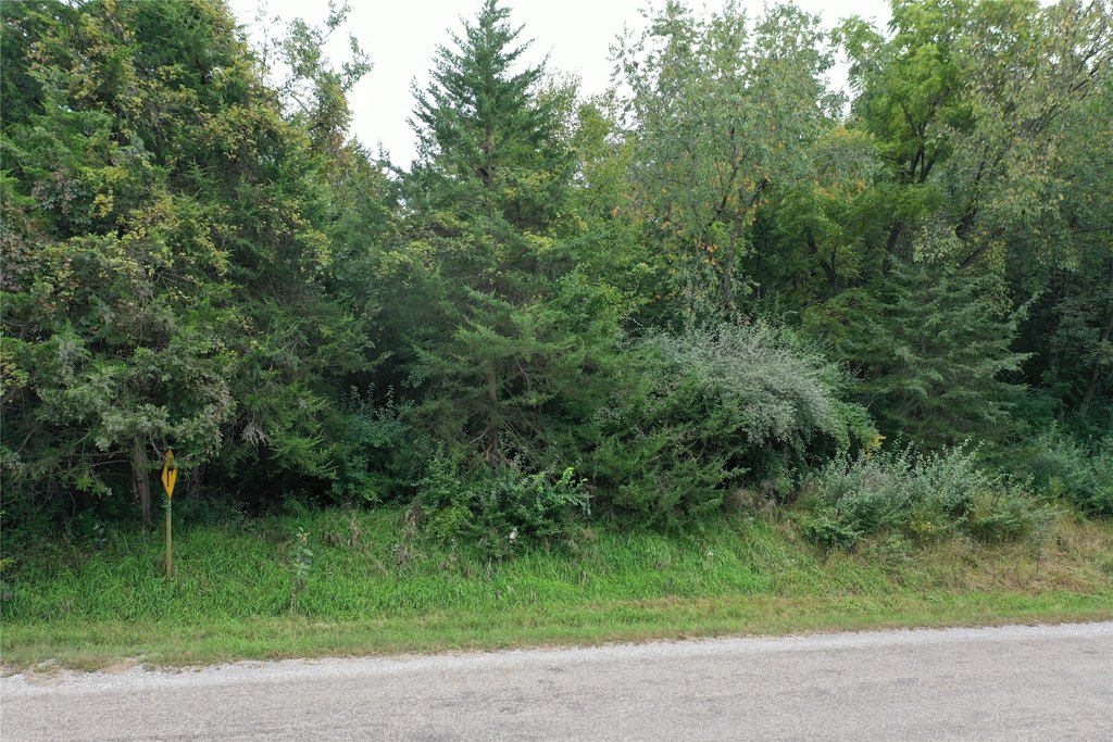 Picture 17