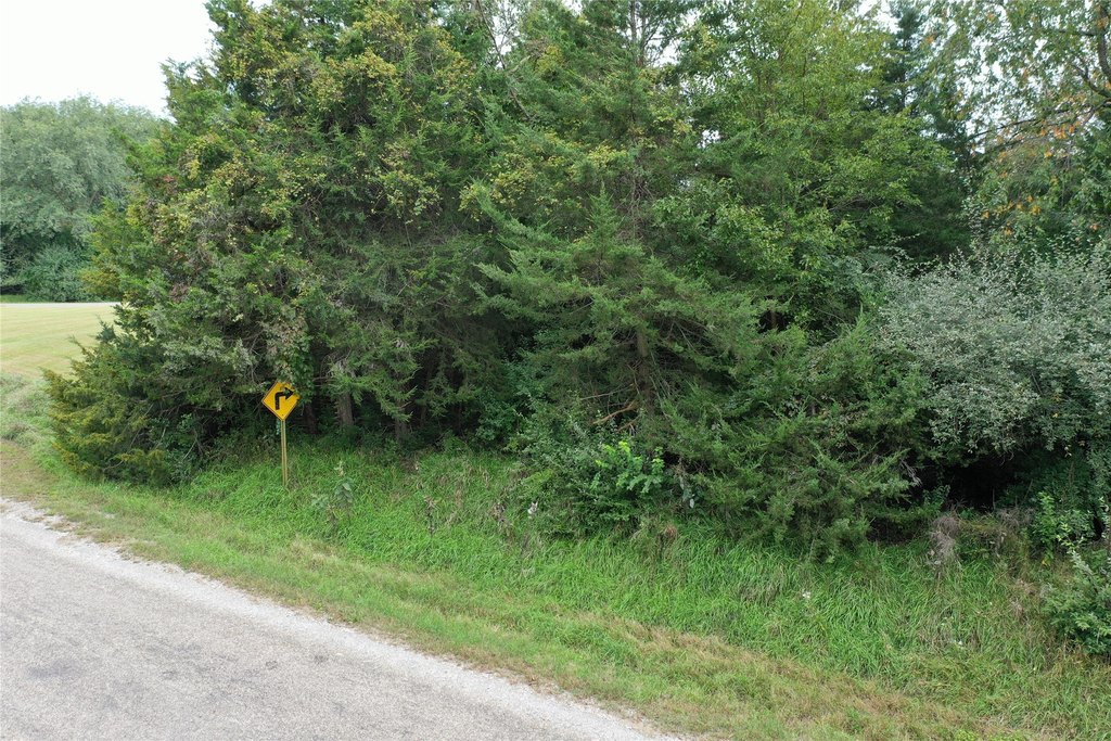 Picture 2