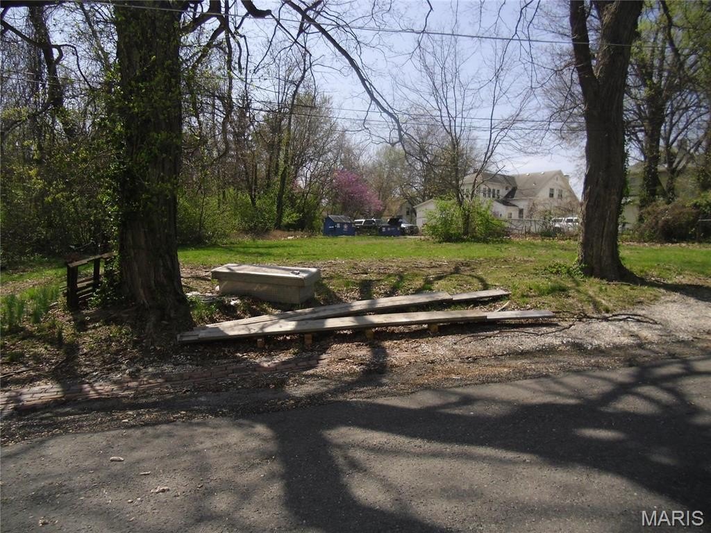 Picture 4