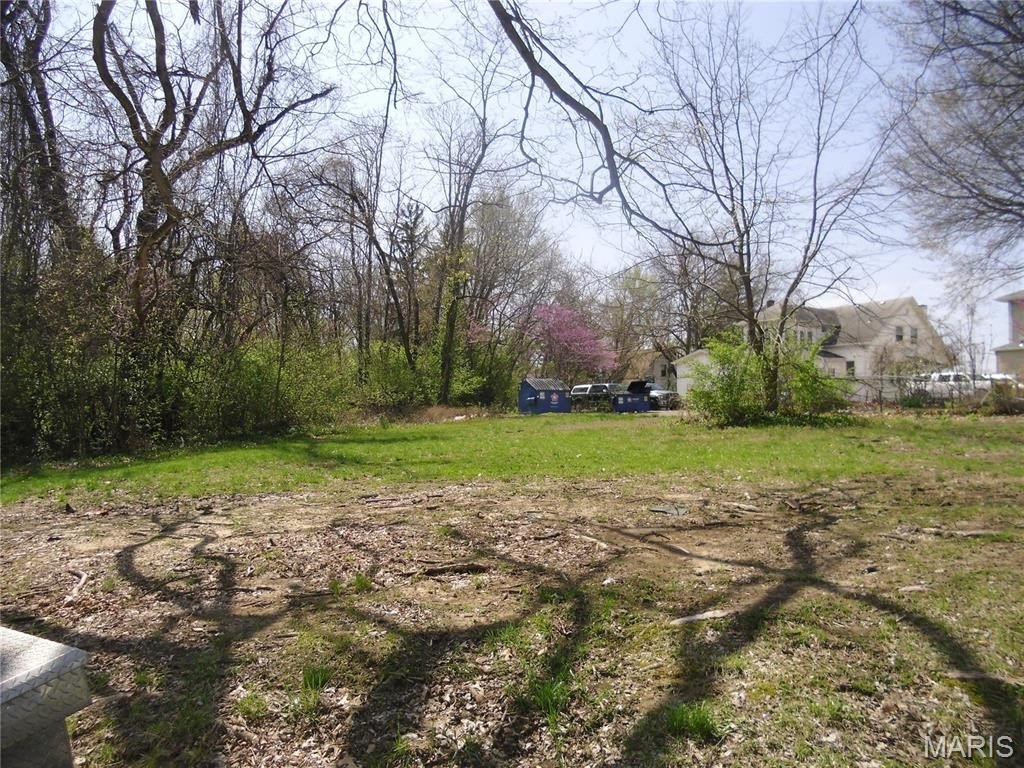 Picture 3