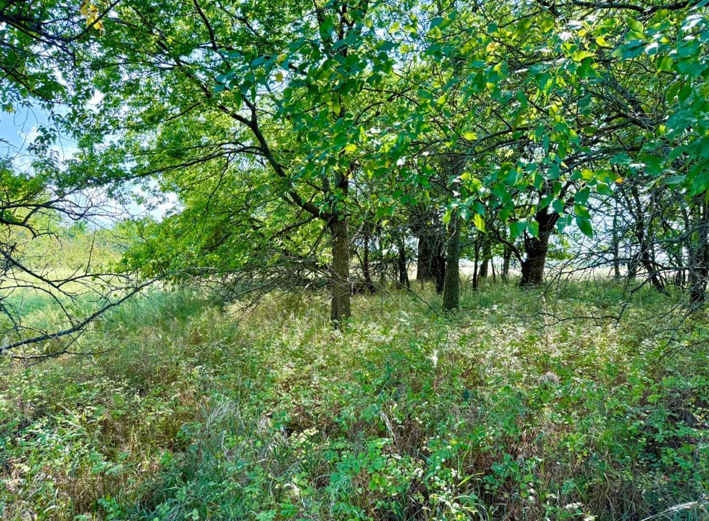 Picture 16
