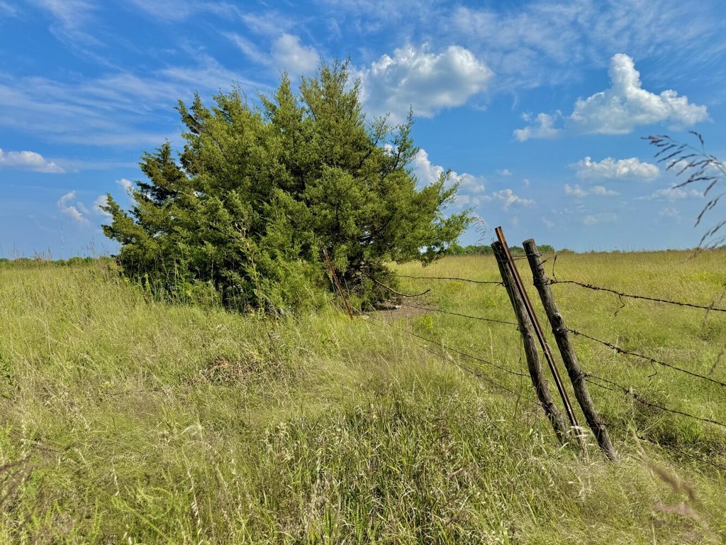 Picture 6