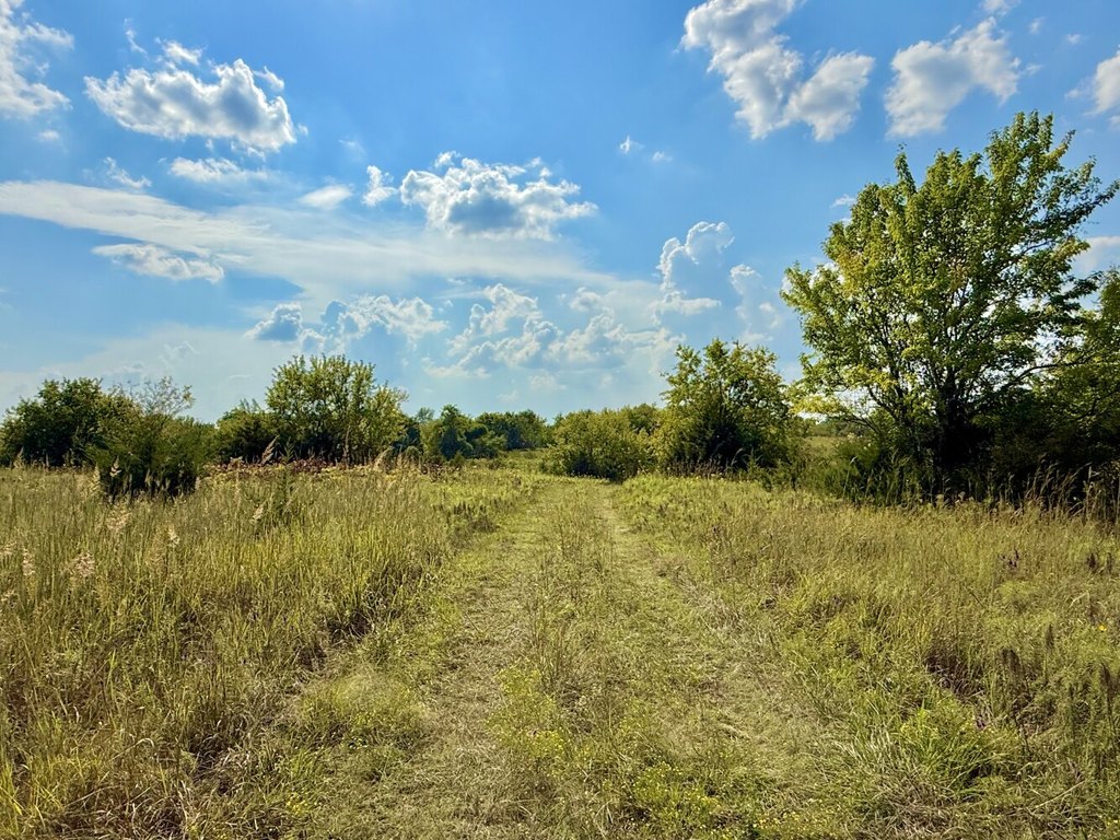 Picture 24