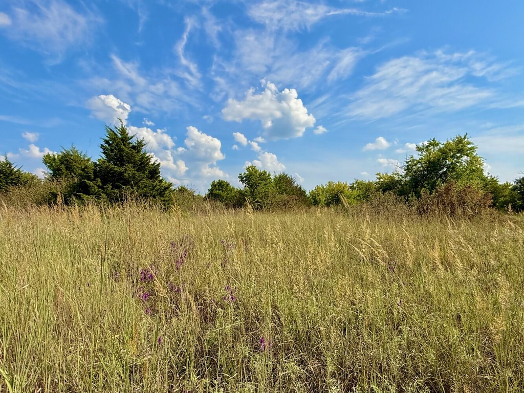 Picture 26