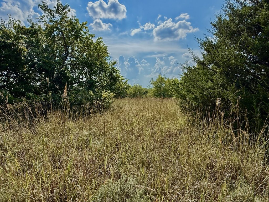 Picture 25
