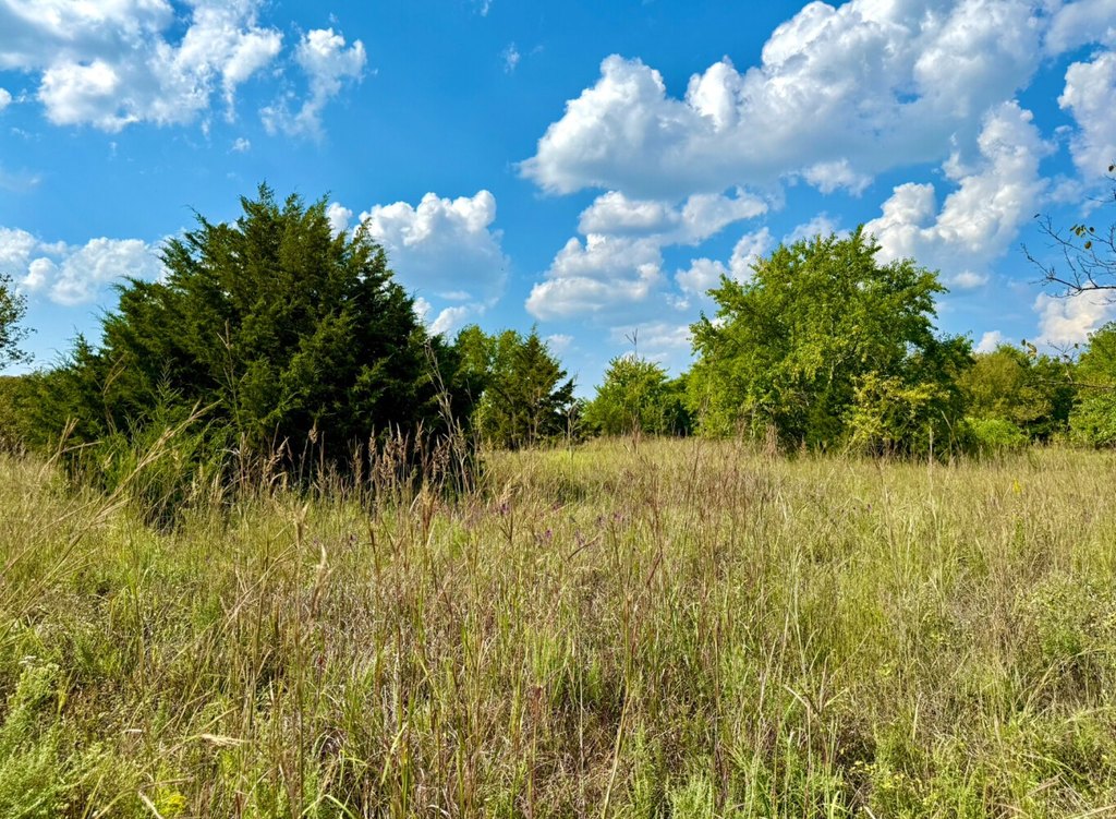 Picture 22
