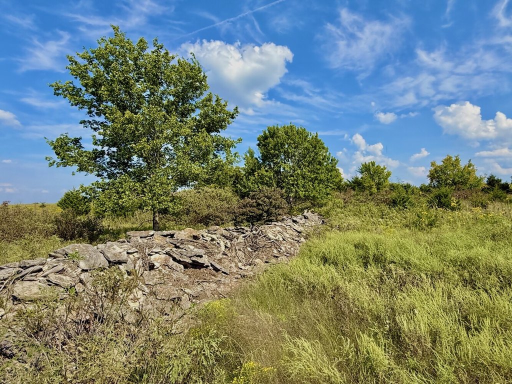 Picture 23