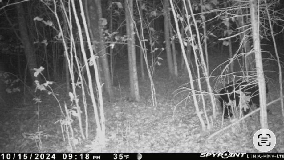 Picture 14