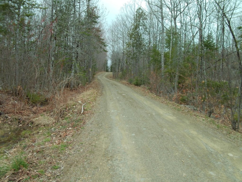 Picture 8