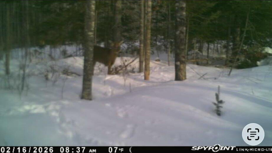 Picture 15