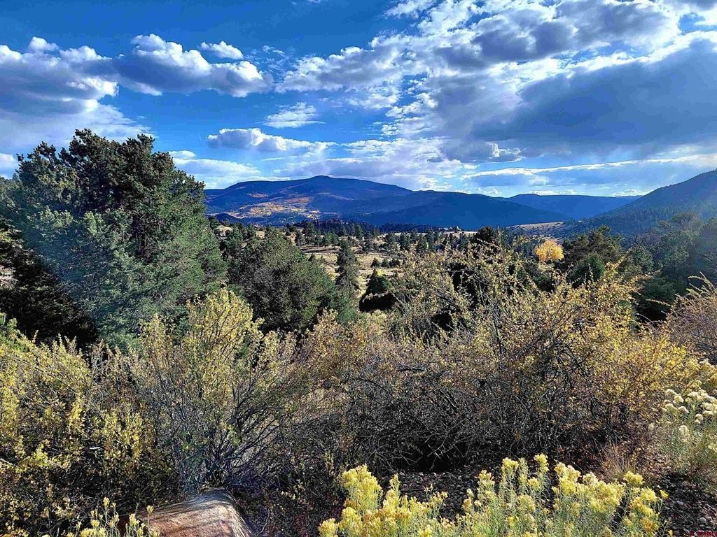 Land in South Fork, Colorado