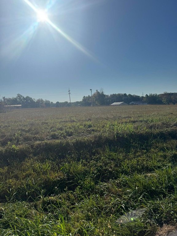 Picture 4
