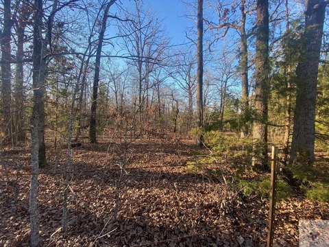 Heavily Wooded Hunting Land