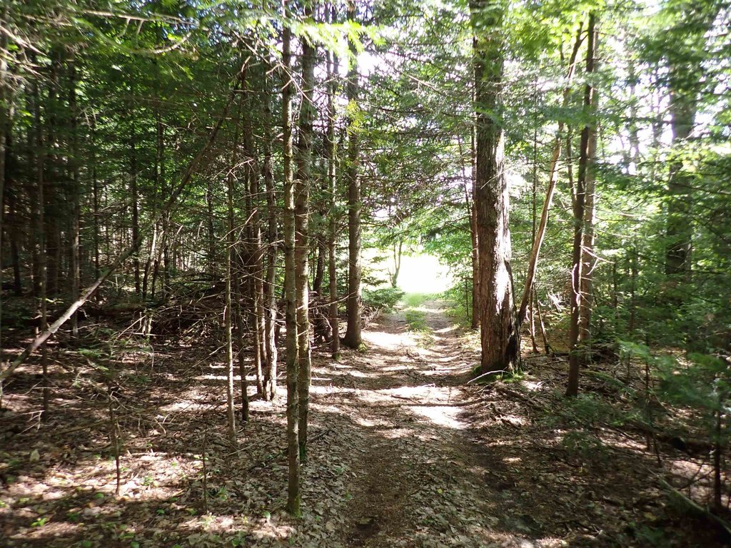 Picture 25