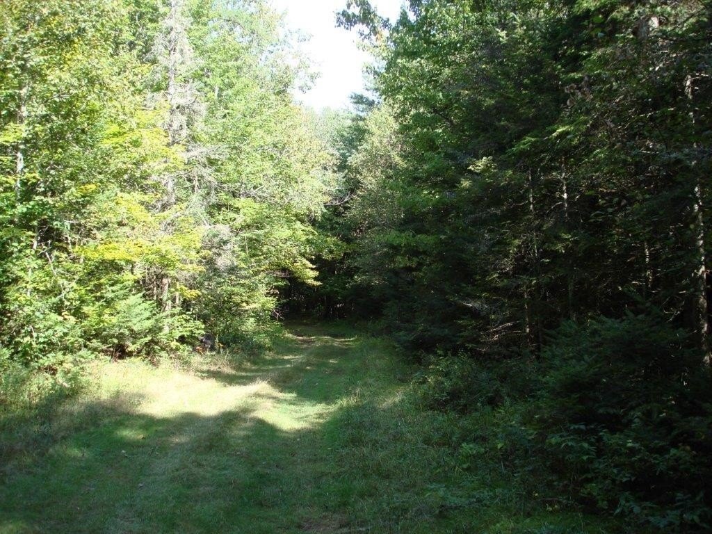 Picture 11
