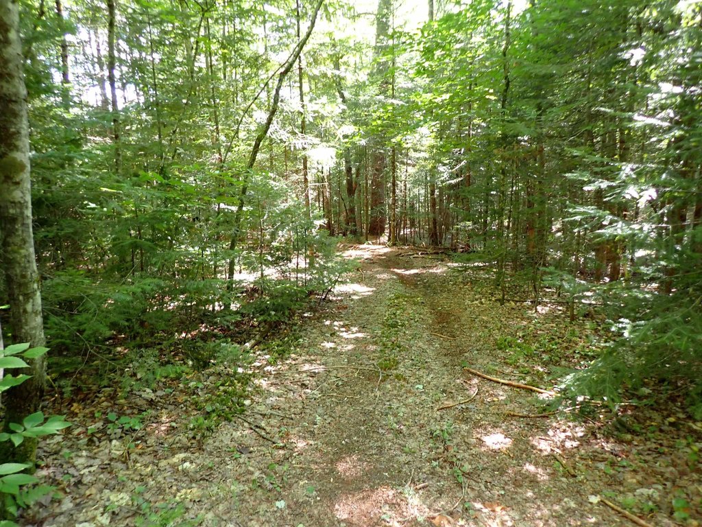 Picture 22