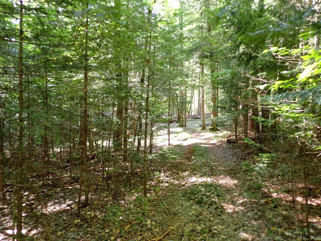 Picture 24