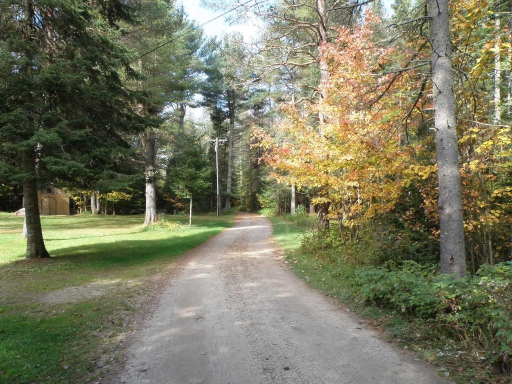 Picture 36