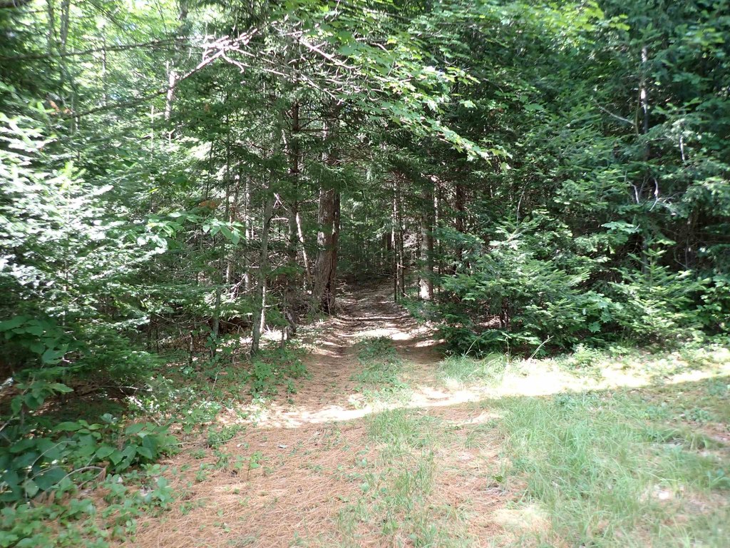 Picture 19