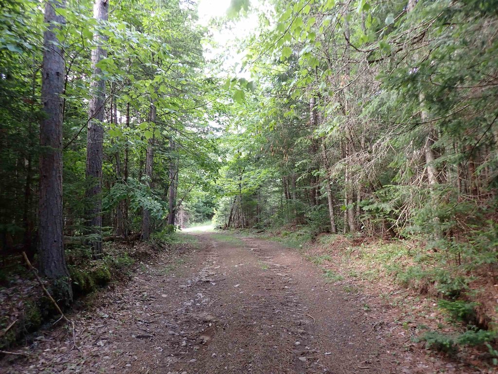 Picture 31