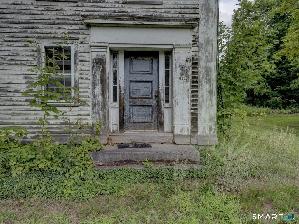 Picture 6