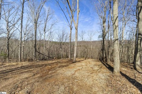 Land in Travelers Rest, SC