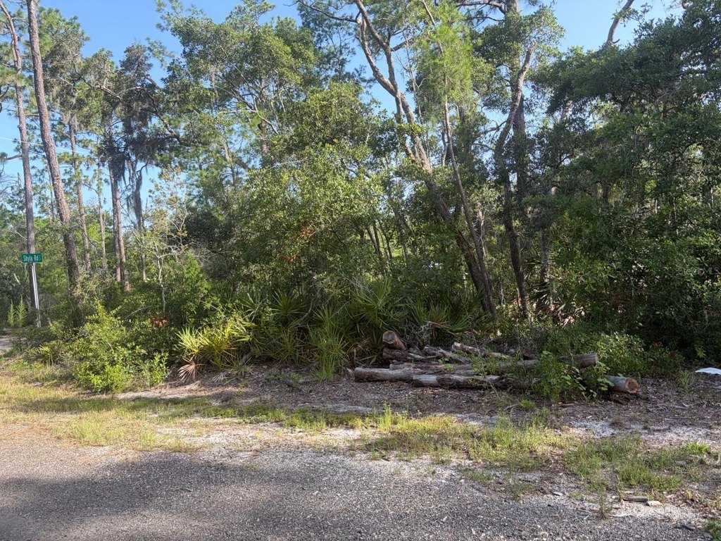 Picture 4