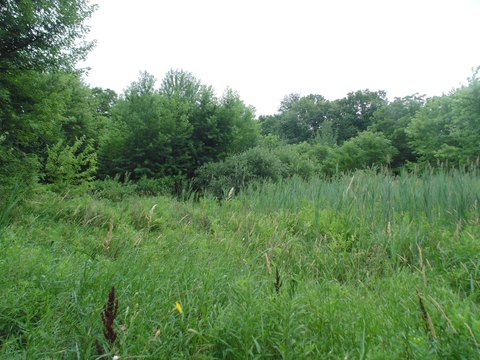 Picture of Land at State St 2899, Lake Station, IN