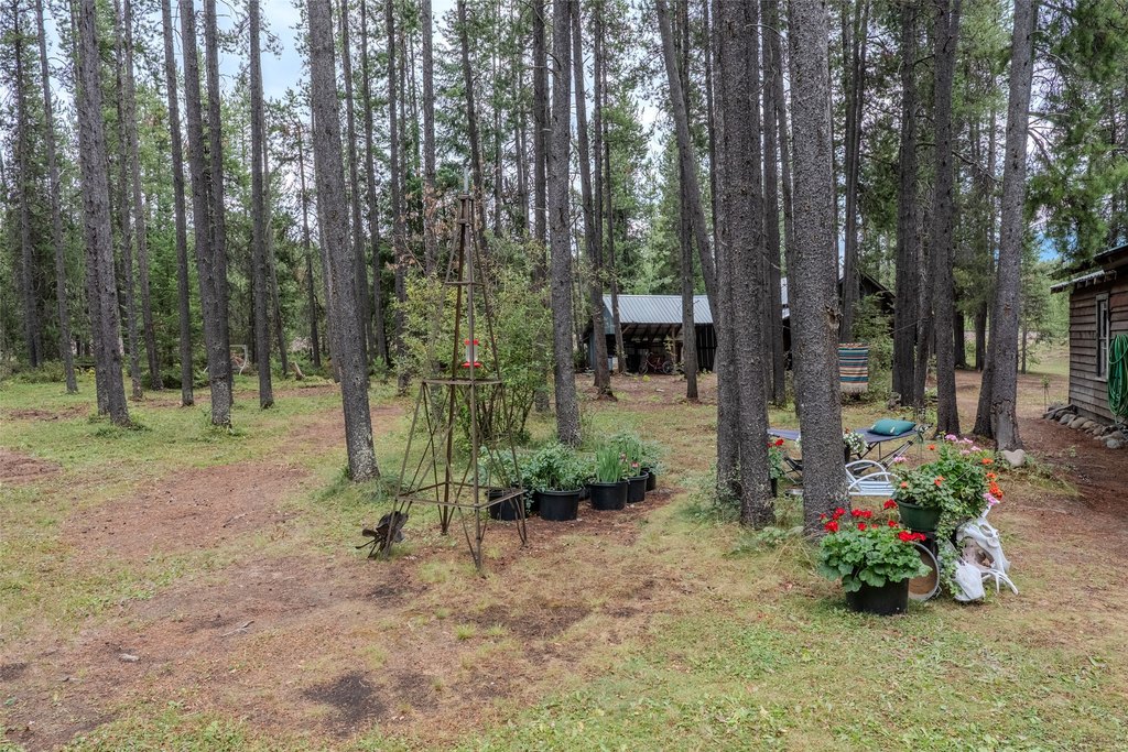 Picture 29