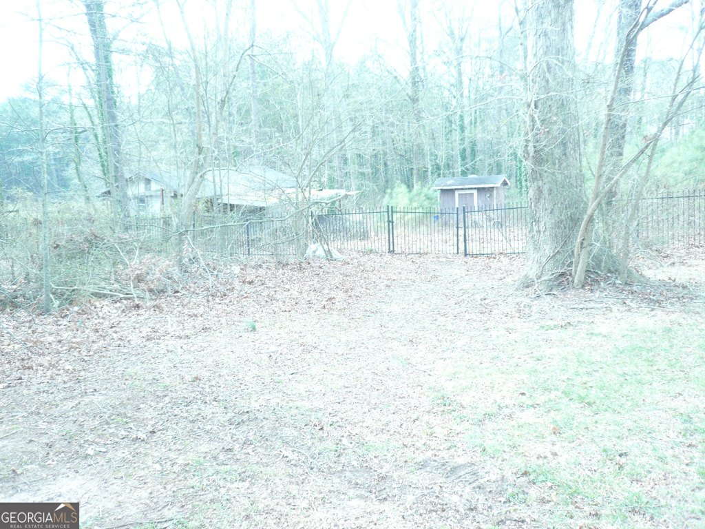 Picture 5