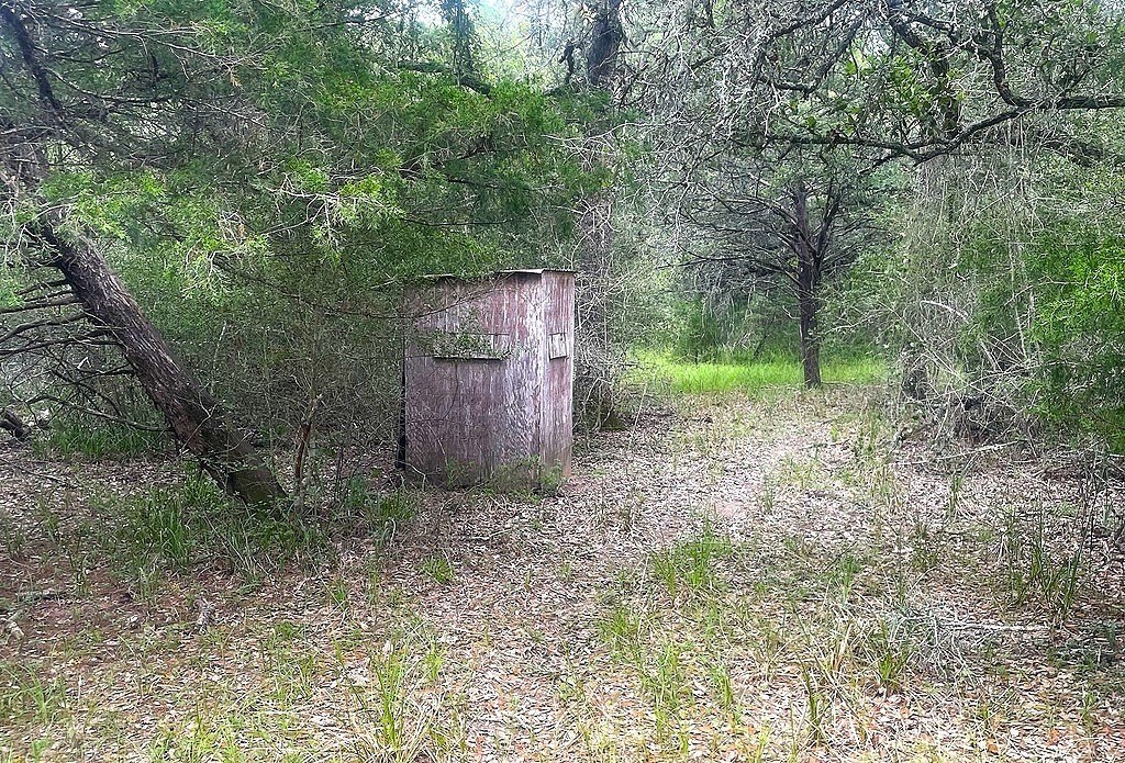 Picture 4