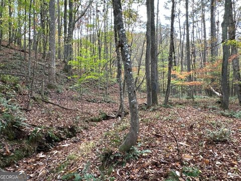 80 Acres Hunting and Recreational Land