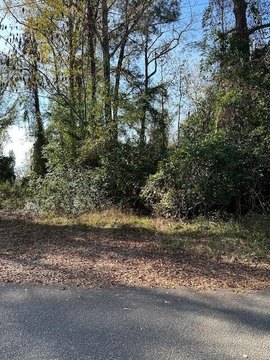Residential Corner Lot in Sumter