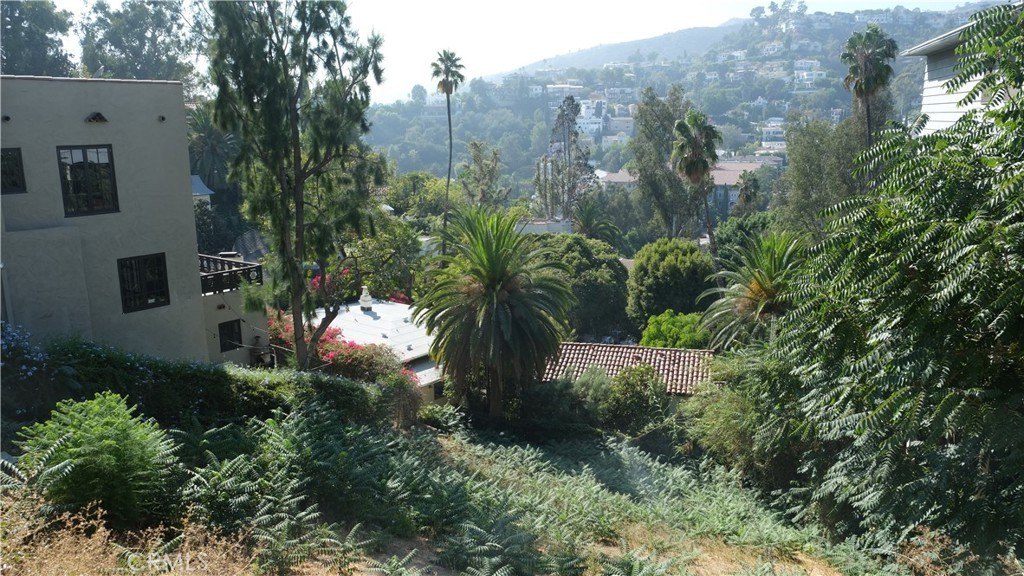Picture 7