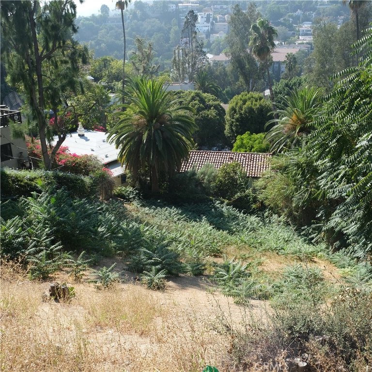 Picture 10