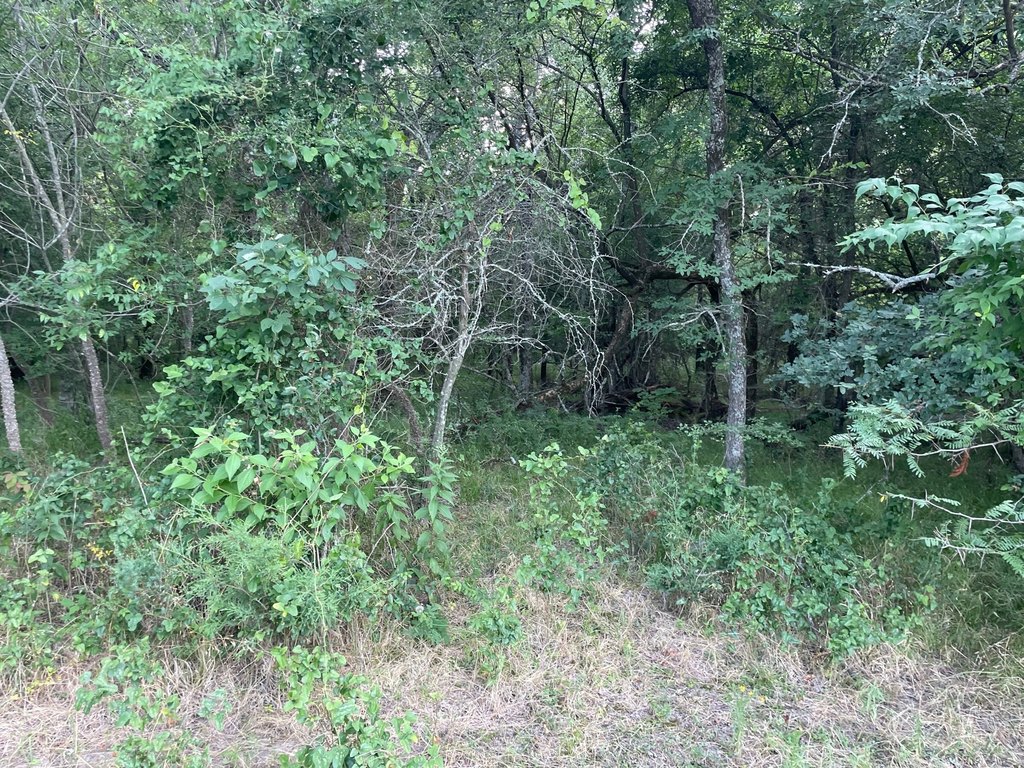 Picture 11