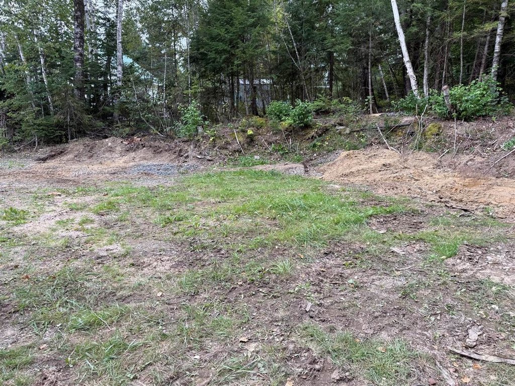 Picture 4