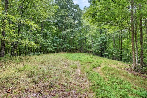 Land, Celina, TN