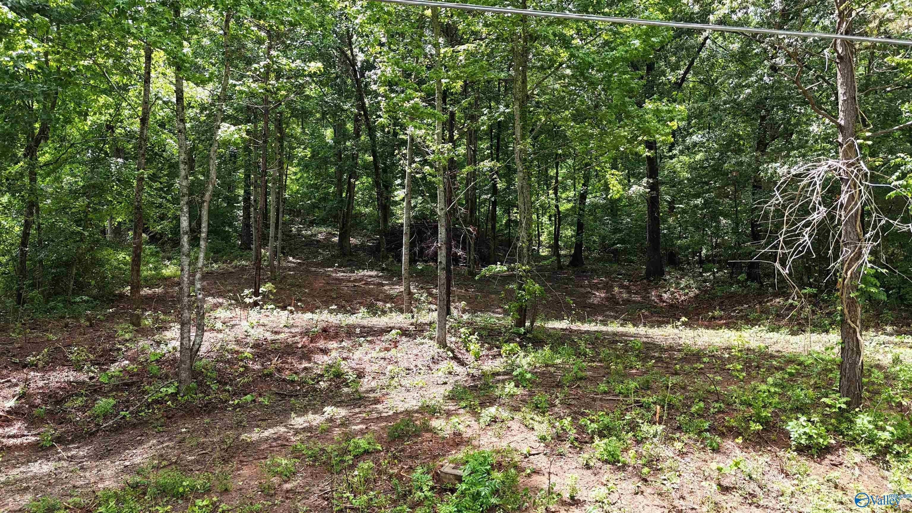 Water-Access Lot in Grant, AL