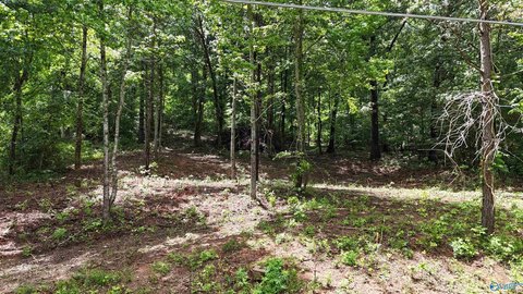 Water-Access Lot in Grant, AL