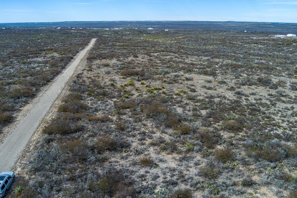 Picture 8