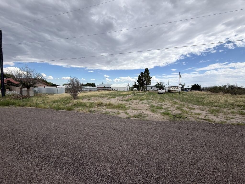 Picture 6